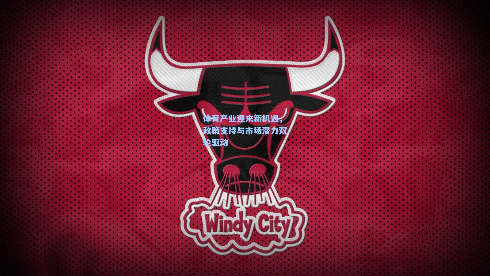 体育产业迎来新机遇，政策支持与市场潜力双轮驱动
